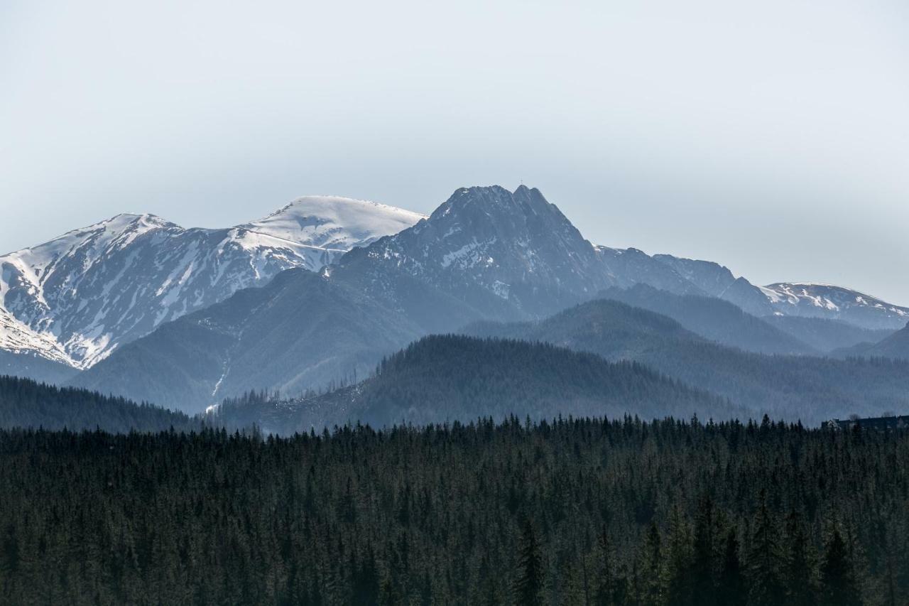 Eco Willa Karpatia Ski&Wellness Murzasichle Εξωτερικό φωτογραφία